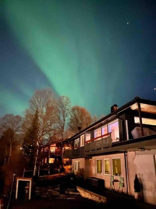 Ferienwohnung Cosy Flat Near Cable Car And The Arctic Cathedral Tromsø Exterior foto
